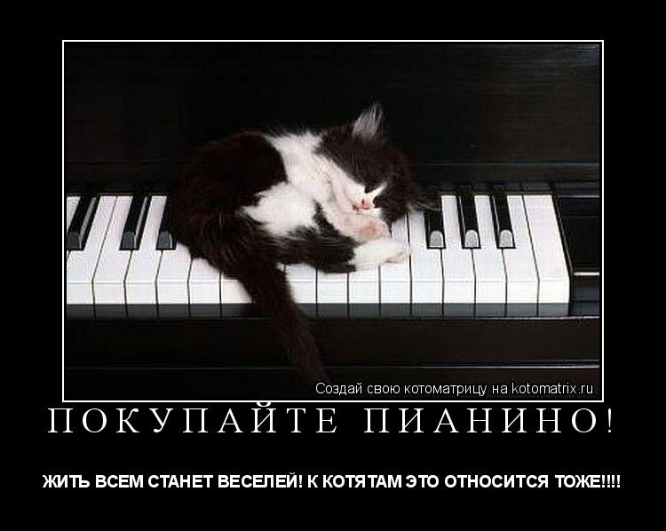 Котоматрица: ПОКУПАЙТЕ ПИАНИНО! ЖИТЬ ВСЕМ СТАНЕТ ВЕСЕЛЕЙ! К КОТЯТАМ ЭТО ОТНОСИТСЯ ТОЖЕ!!!!