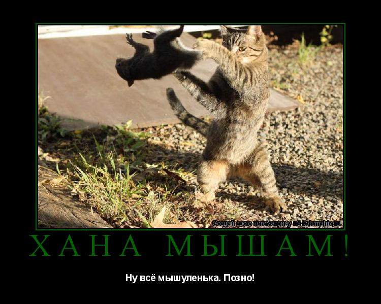 ХАНА МЫШАМ! Ну всё мышуленька. Позно!... Котоматрица: ХАНА МЫШАМ! Ну всё мышуленька. Позно!