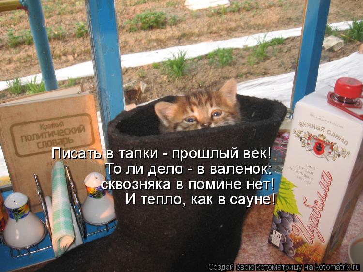 Писать в тапки - прошлый век! То ли дело - в валенок: сквозняка в помине нет! И тепло, как в сауне!... Котоматрица: Писать в тапки - прошлый век! То ли дело - в валенок: сквозняка в помине нет! И тепло, как в сауне!