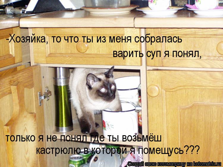 Котоматрица: -Хозяйка, то что ты из меня собралась варить суп я понял, только я не понял где ты возьмёш  кастрюлю в которой я помещусь???