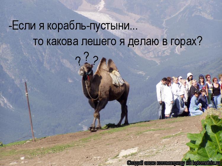 Котоматрица: -Если я корабль-пустыни... то какова лешего я делаю в горах? ? ? ?