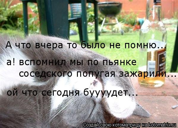 Котоматрица: А что вчера то было не помню... а! вспомнил мы по пьянке соседского попугая зажарили... ой что сегодня буууудет...