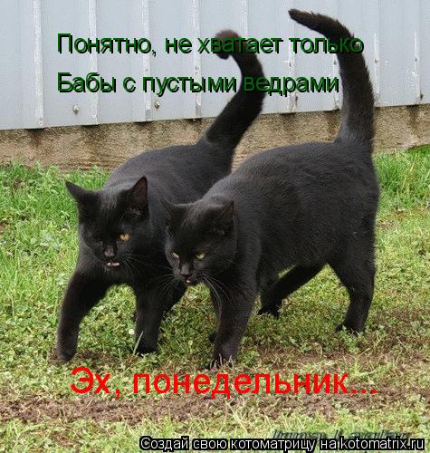 Котоматрица: Понятно, не хватает только  Бабы с пустыми ведрами  Эх, понедельник...