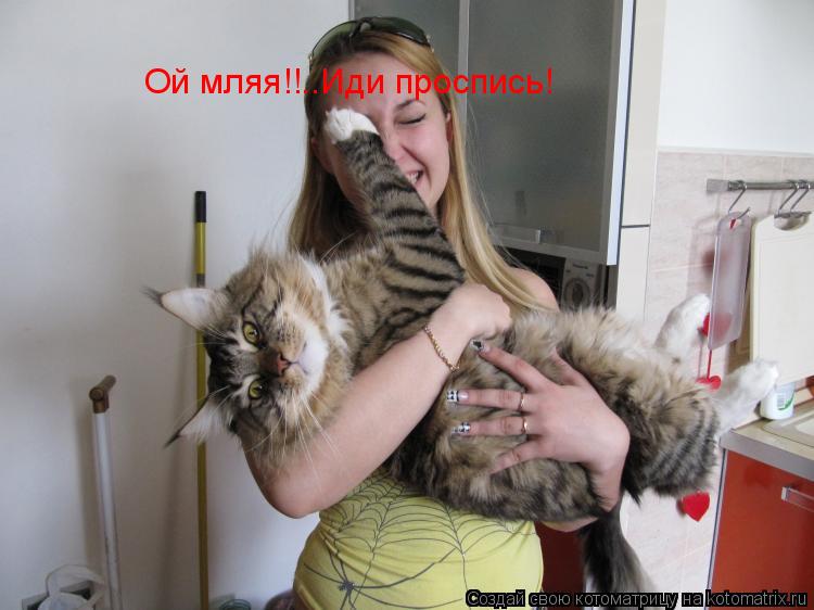 Котоматрица: Ой мляя!!..Иди проспись!