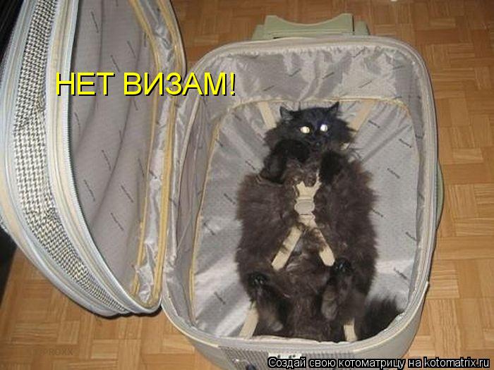 Котоматрица: НЕТ ВИЗАМ!