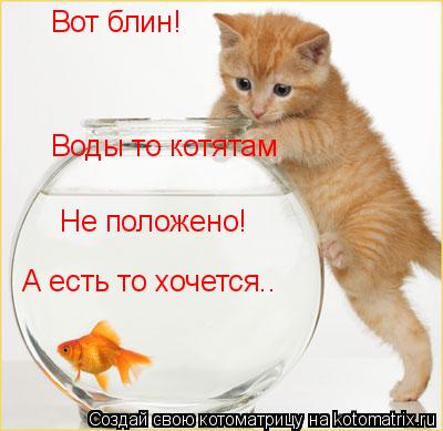 Котоматрица: Вот блин! Воды то котятам  Не положено! А есть то хочется..