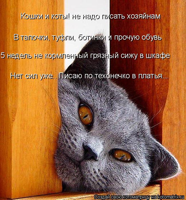Котоматрица: Кошки и коты! не надо писать хозяйнам В тапочки, туфли, ботинки и прочую обувь 5 недель не кормленный грязный сижу в шкафе Нет сил уже.. Писаю 