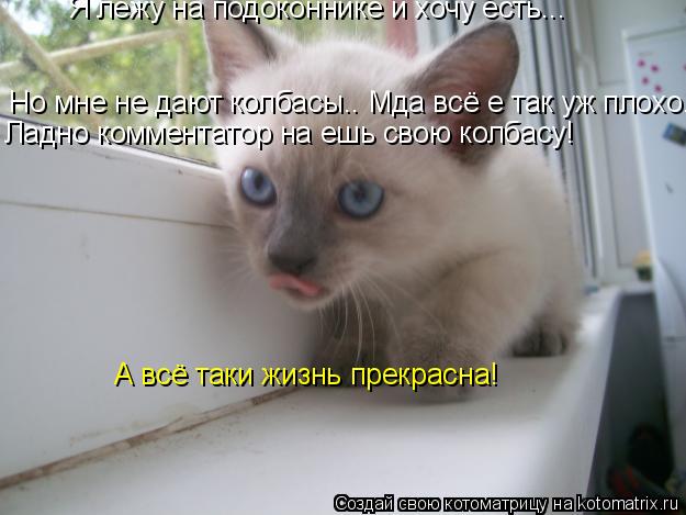 Котоматрица: Я лежу на подоконнике и хочу есть... Но мне не дают колбасы.. Мда всё е так уж плохо.. Ладно комментатор на ешь свою колбасу! А всё таки жизнь пр