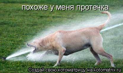 Котоматрица: похоже у меня протечка