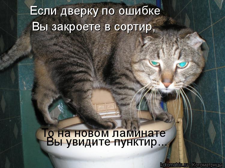 Котоматрица: Вы закроете в сортир,  То на новом ламинате Вы увидите пунктир... Если дверку по ошибке