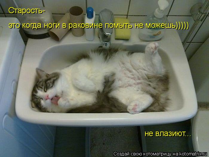 Старость- это когда ноги в раковине помыть не можешь))))) не влазиют...... Котоматрица: Старость- это когда ноги в раковине помыть не можешь))))) не влазиют...