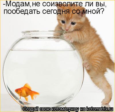 Котоматрица: -Модам,не соизволите ли вы,  пообедать сегодня со мной?