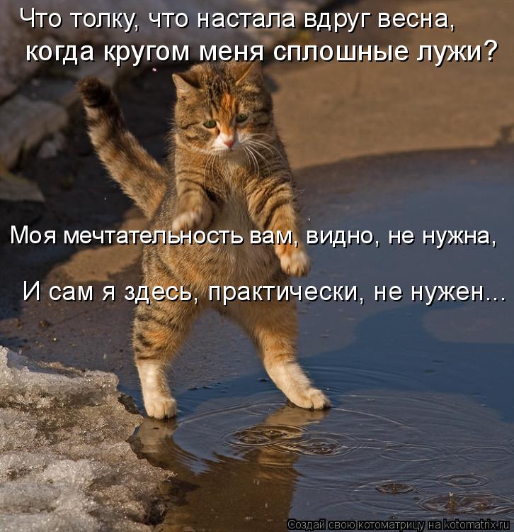 Котоматрица: когда кругом меня сплошные лужи? И сам я здесь, практически, не нужен... Что толку, что настала вдруг весна,  Моя мечтательность вам, видно, не 