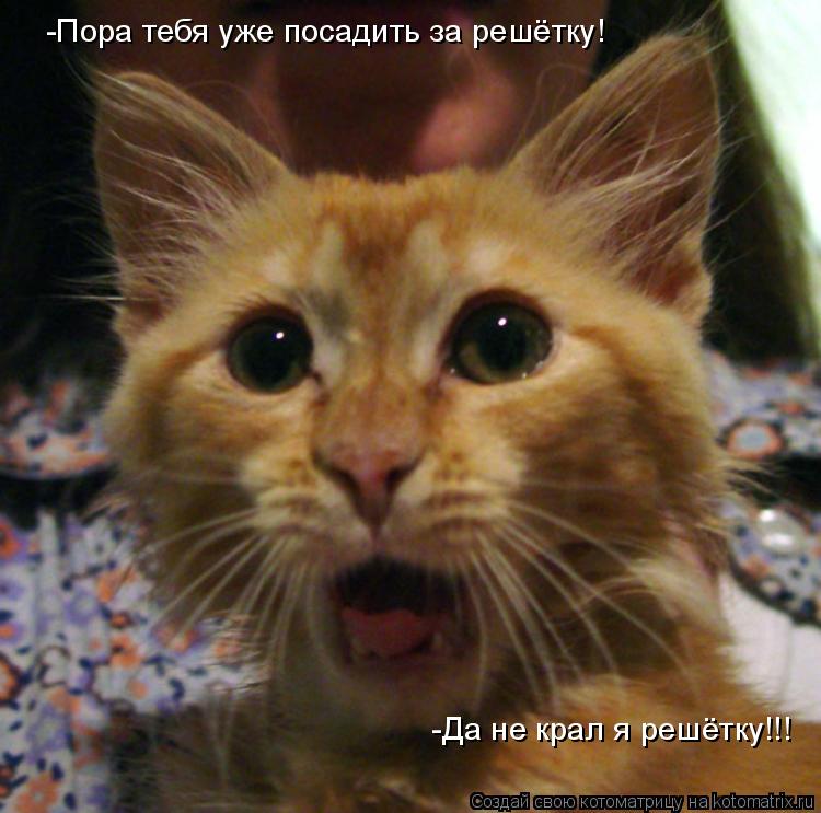 -Пора тебя уже посадить за решётку! -Да не крал я решётку!!!... Котоматрица: -Пора тебя уже посадить за решётку! -Да не крал я решётку!!!