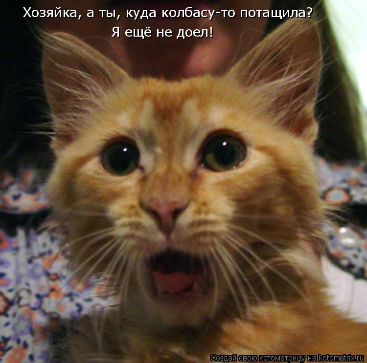 Котоматрица: Хозяйка, а ты, куда колбасу-то потащила? Я ещё не доел!