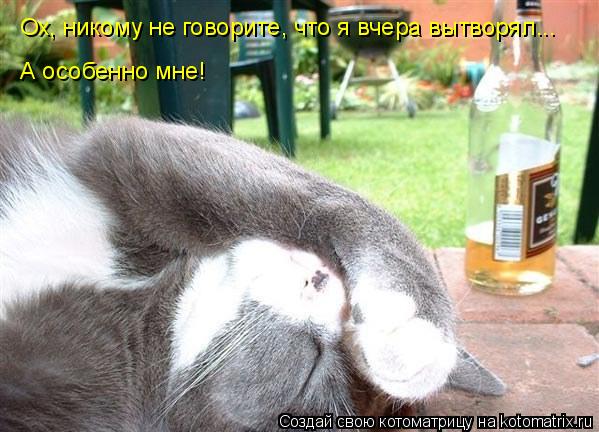 Котоматрица: Ох, никому не говорите, что я вчера вытворял... А особенно мне!