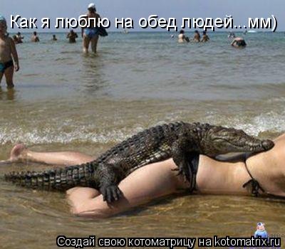 Котоматрица: Как я люблю на обед людей...мм)