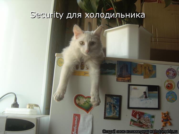 Котоматрица: Security для холодильника