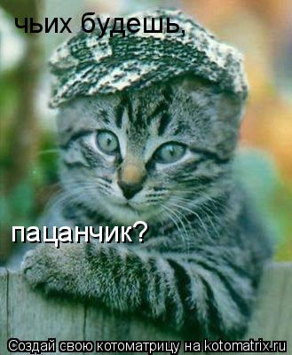 Котоматрица: чьих будешь, пацанчик?