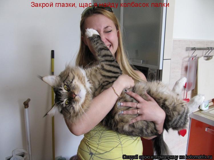 Котоматрица: Закрой глазки, щас я найду колбасок палки