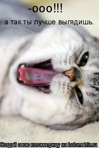 Котоматрица: -ооо!!! а так ты лучше выгядишь.