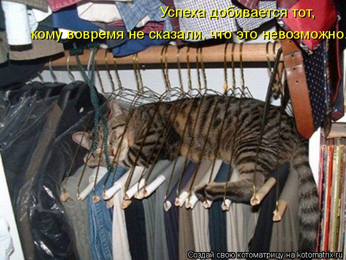 Котоматрица: Успеха добивается тот, кому вовремя не сказали, что это невозможно.