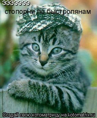 Котоматрица: эээээээ  стопорни по быстролянам
