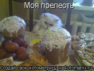 Котоматрица: Моя прелесть