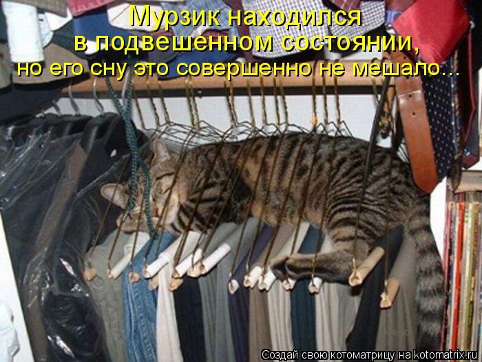 Котоматрица: Мурзик находился  в подвешенном состоянии, но его сну это совершенно не мешало...