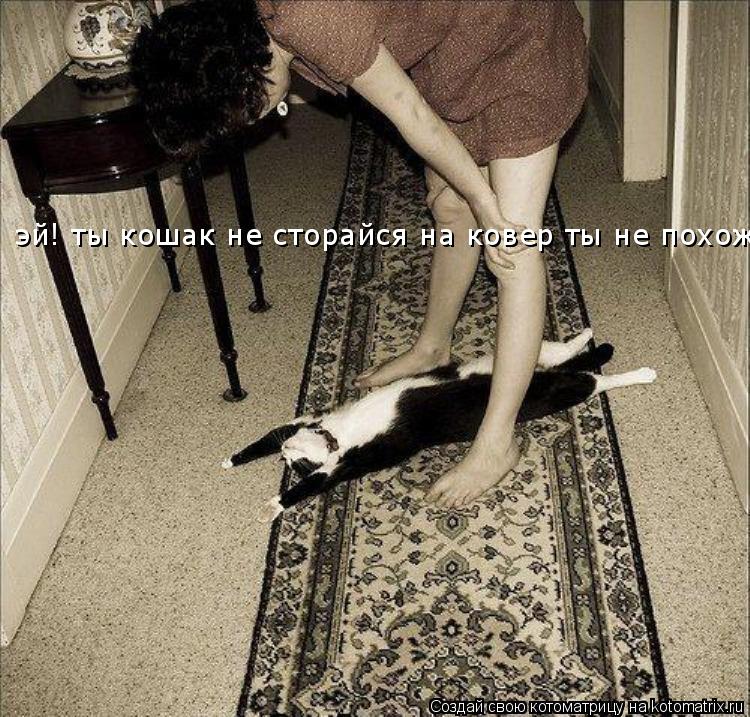 Котоматрица: эй! ты кошак не сторайся на ковер ты не похож!