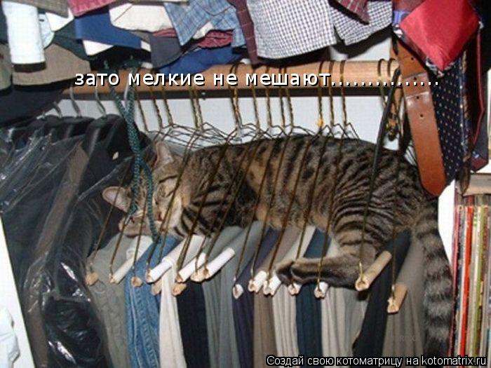 Котоматрица: зато мелкие не мешают...............