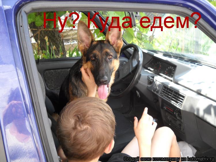 Котоматрица: Ну? Куда едем?