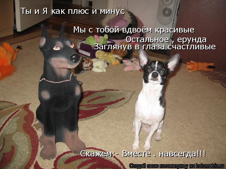 Котоматрица: Мы с тобой вдвоём красивые Остальное , ерунда Заглянув в глаза счастливые Скажем:- Вместе – навсегда!!! Ты и Я как плюс и минус