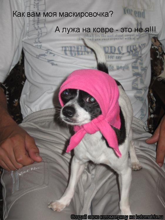 Котоматрица: Как вам моя маскировочка? А лужа на ковре - это не я!!!