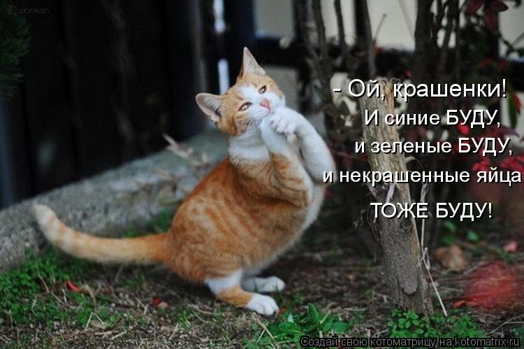 И синие БУДУ, и зеленые БУДУ, и некрашенные яйца ТОЖЕ БУДУ! - Ой, крашенки!... Котоматрица: И синие БУДУ, и зеленые БУДУ, и некрашенные яйца ТОЖЕ БУДУ! - Ой, крашенки!