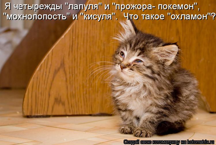 Я четырежды "лапуля" и "прожора- покемон", "мохнопопость" и "кисуля". Что такое "охламон"?... Котоматрица: Я четырежды "лапуля" и "прожора- покемон", "мохнопопость" и "кисуля". Что такое "охламон"?