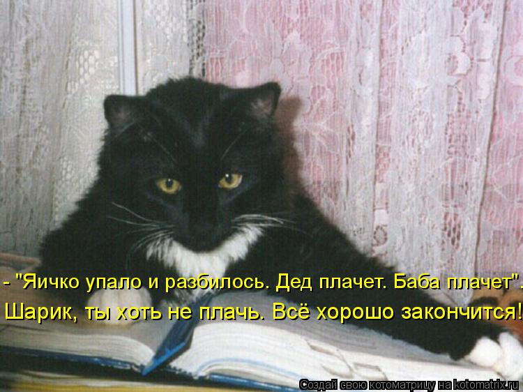 Шарик, ты хоть не плачь. Всё хорошо закончится! - "Яичко упало и разбилось. Дед плачет. Баба плачет".... Котоматрица: Шарик, ты хоть не плачь. Всё хорошо закончится! - "Яичко упало и разбилось. Дед плачет. Баба плачет".