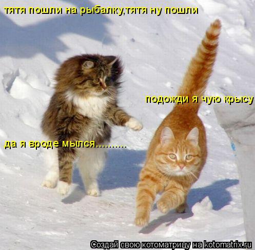 Котоматрица: подожди я чую крысу тятя пошли на рыбалку,тятя ну пошли да я вроде мылся..........