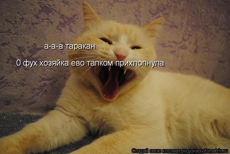 Котоматрица: а-а-а таракан 0 фух хозяйка ево тапком прихлопнула