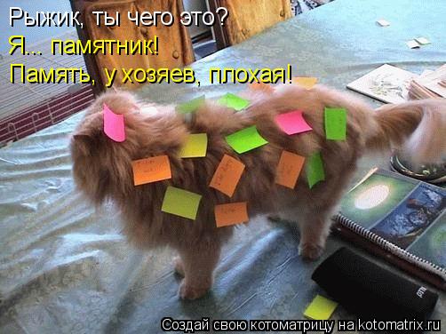 Котоматрица: Рыжик, ты чего это?  Я... памятник!  Память, у хозяев, плохая!