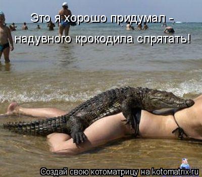 Котоматрица: Это я хорошо придумал - надувного крокодила спрятать!