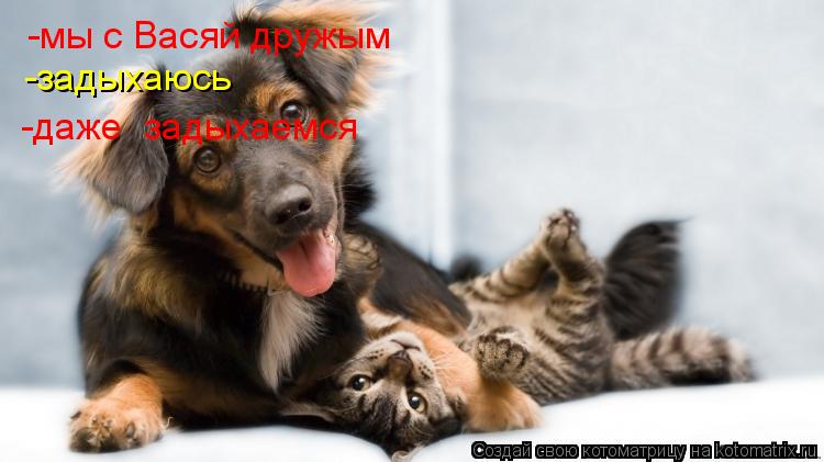 Котоматрица: -мы с Васяй дружым -задыхаюсь -даже  задыхаемся