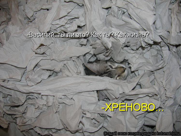 Котоматрица: -ХРЕНОВО... -Василий, ты ли это? Как ты? Как жизнь?