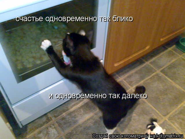 Котоматрица: счастье одновременно так блико и одновременно так далеко