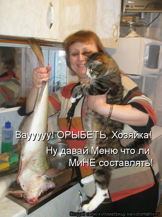 Ваууууу! ОРЫБЕТЬ, Хозяйка! Ну давай Меню что ли МиНЕ составлять!... Котоматрица: Ваууууу! ОРЫБЕТЬ, Хозяйка! Ну давай Меню что ли МиНЕ составлять!