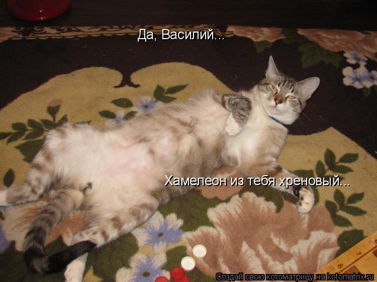 Да, Василий... Хамелеон из тебя хреновый...... Котоматрица: Да, Василий... Хамелеон из тебя хреновый...