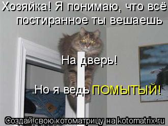 Хозяйка! Я понимаю, что всё постиранное ты вешаешь На дверь! Но я ведь ПОМЫТЫЙ!... Котоматрица: Хозяйка! Я понимаю, что всё постиранное ты вешаешь На дверь! Но я ведь ПОМЫТЫЙ!