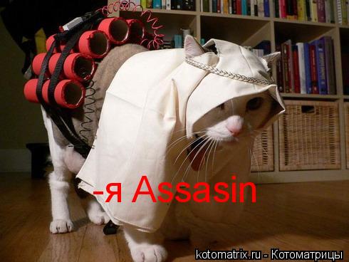 -я Assasin... Котоматрица: -я Assasin