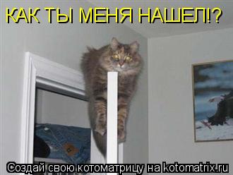 Мы играем в прятки КАК ТЫ МЕНЯ НАШЕЛ!?... Котоматрица: Мы играем в прятки КАК ТЫ МЕНЯ НАШЕЛ!?