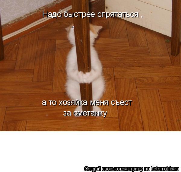 Надо быстрее спрятаться а то хозяйка меня съест за сметанку ,... Котоматрица: Надо быстрее спрятаться а то хозяйка меня съест за сметанку ,